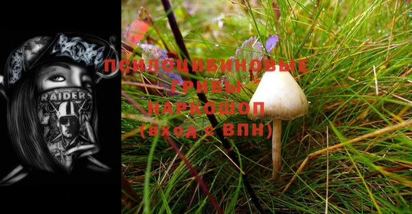 спайс Абаза