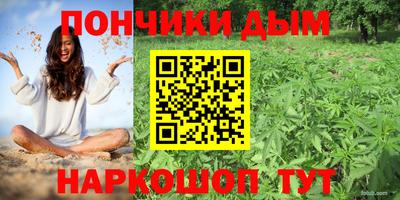 прущие крисы Камышлов