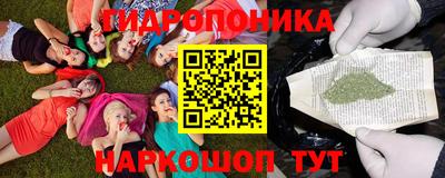стаф Канаш