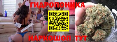 прущие крисы Камышлов