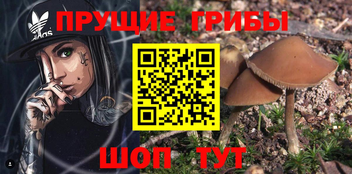 Псилоцибиновые грибы MAGIC MUSHROOMS Электросталь